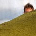gras
